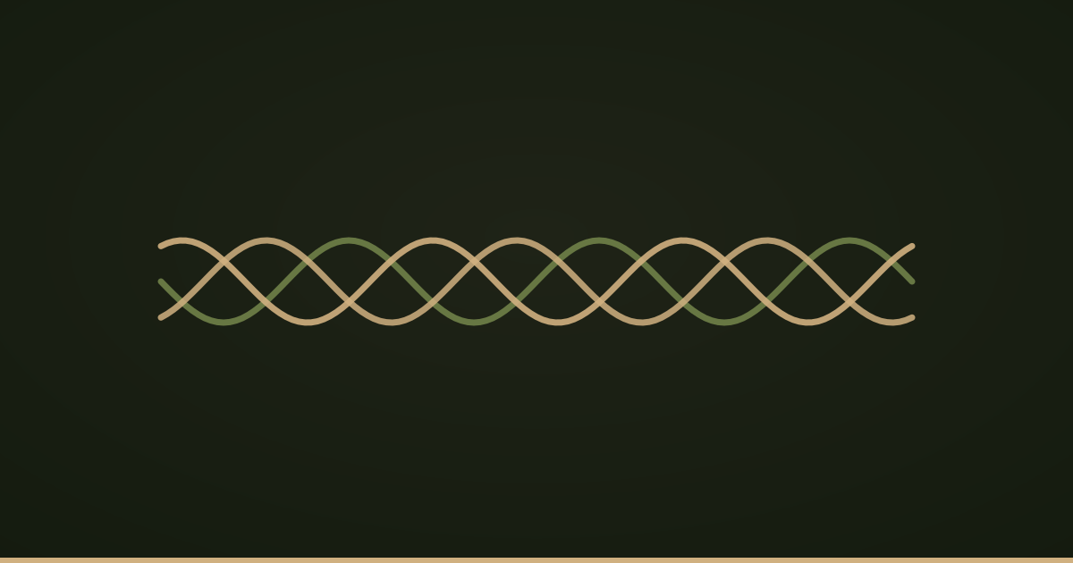 Three strands braided into one cord