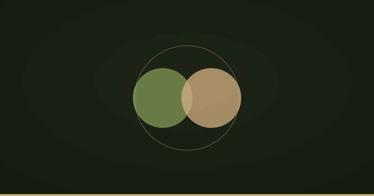 Two shapes together inside one circle
