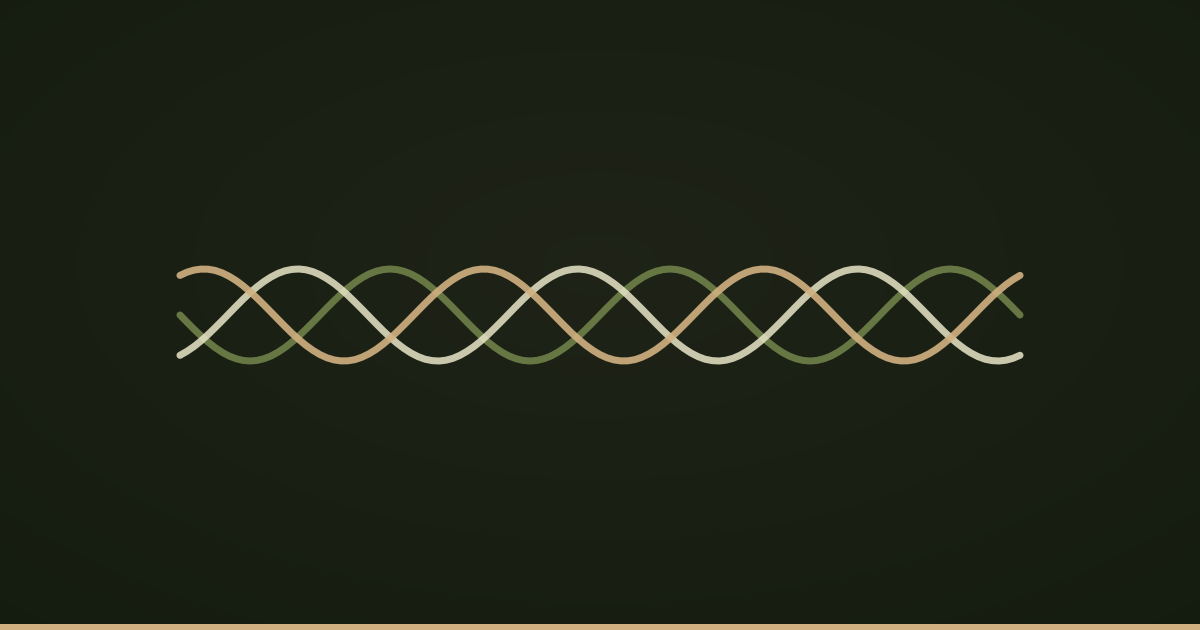 Three strands braided into one cord