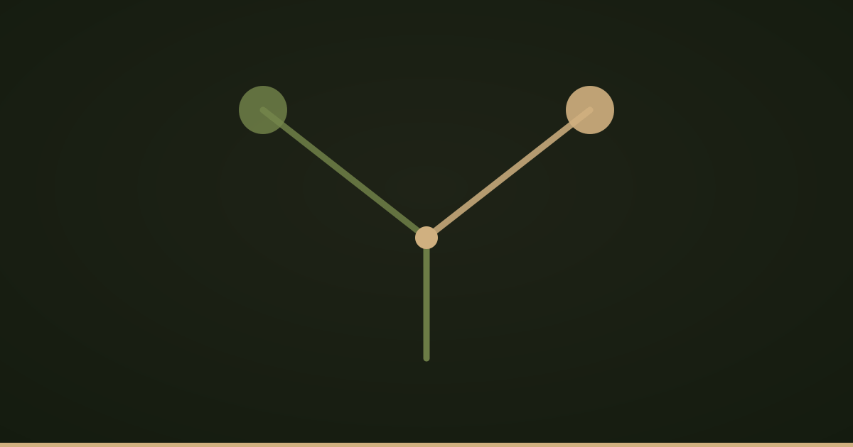 A path splitting in two