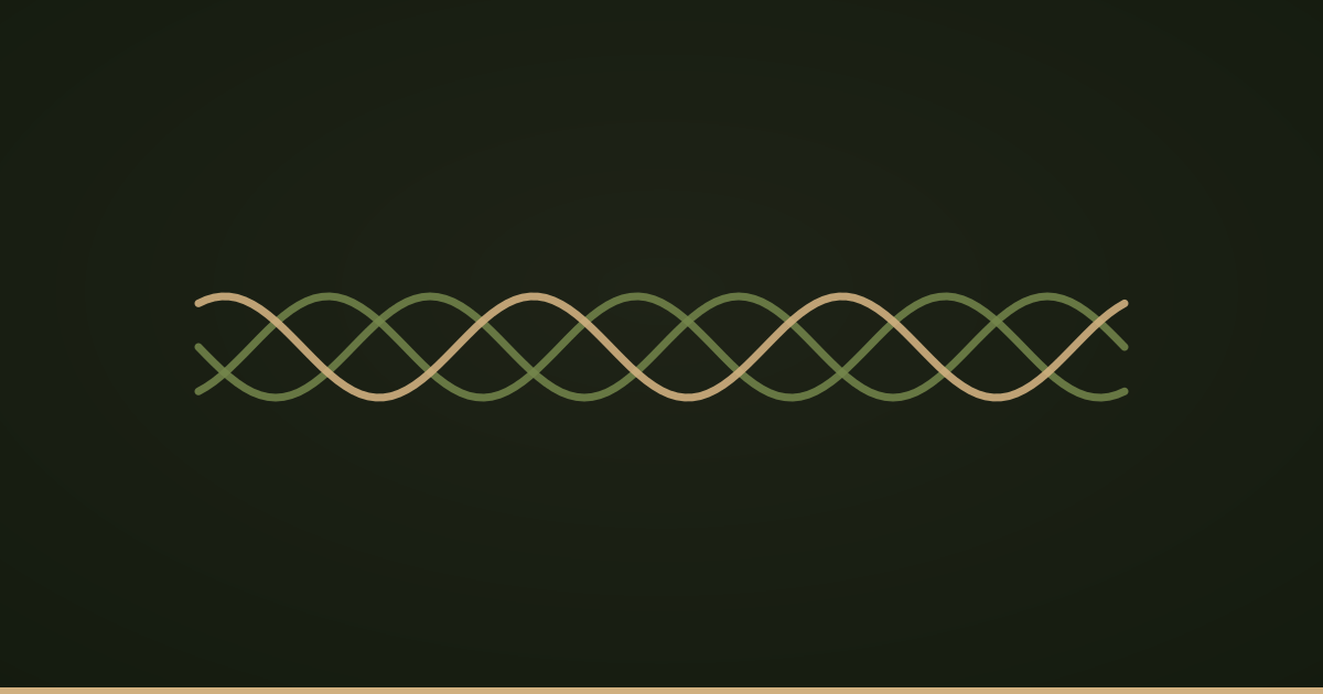 Three strands braided into one cord