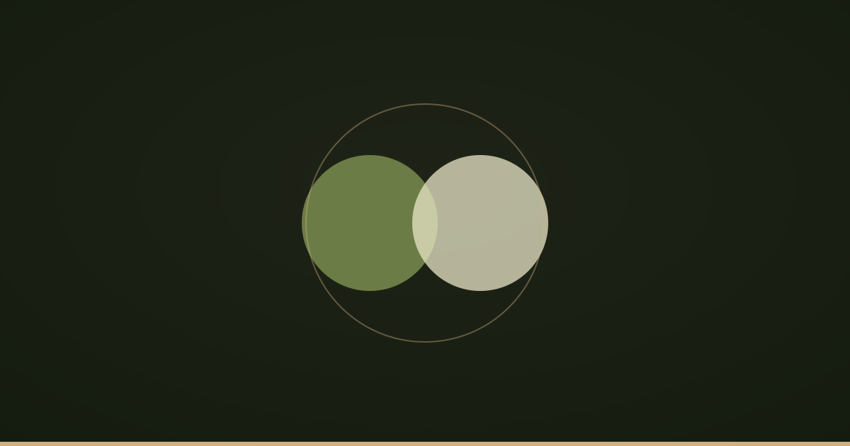 Two shapes together inside one circle