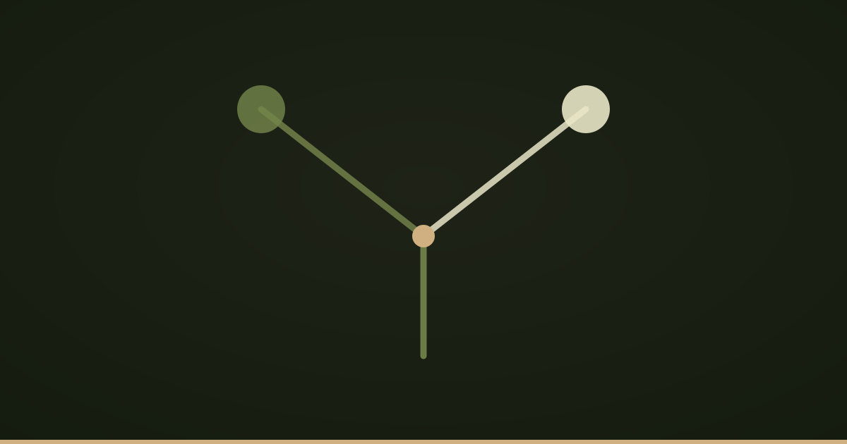 A path splitting in two